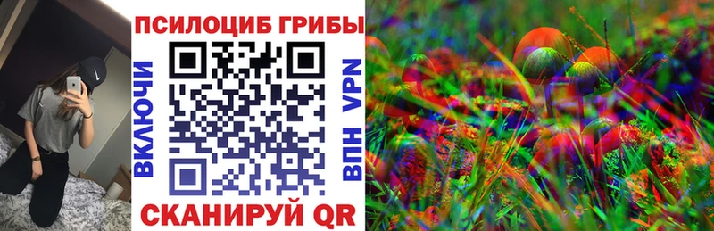 закладки Новоульяновск Псилоцибиновые грибы Psilocybe
